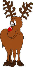 Reindeer
